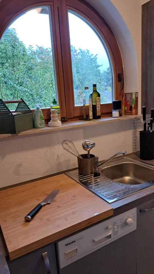 Gemuetliche Waldrandlage In Badenweiler Sehringen Ferienwohnung Exterior photo