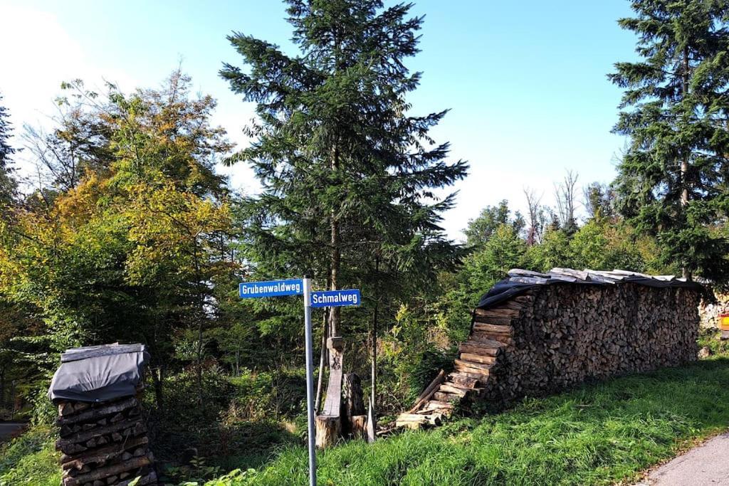 Gemuetliche Waldrandlage In Badenweiler Sehringen Ferienwohnung Exterior photo